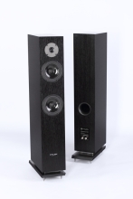 Pylon Audio - Diamond 25 MKII Standlautsprecher