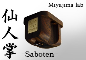 Miyajima - Saboten MC-Tonabnehmer